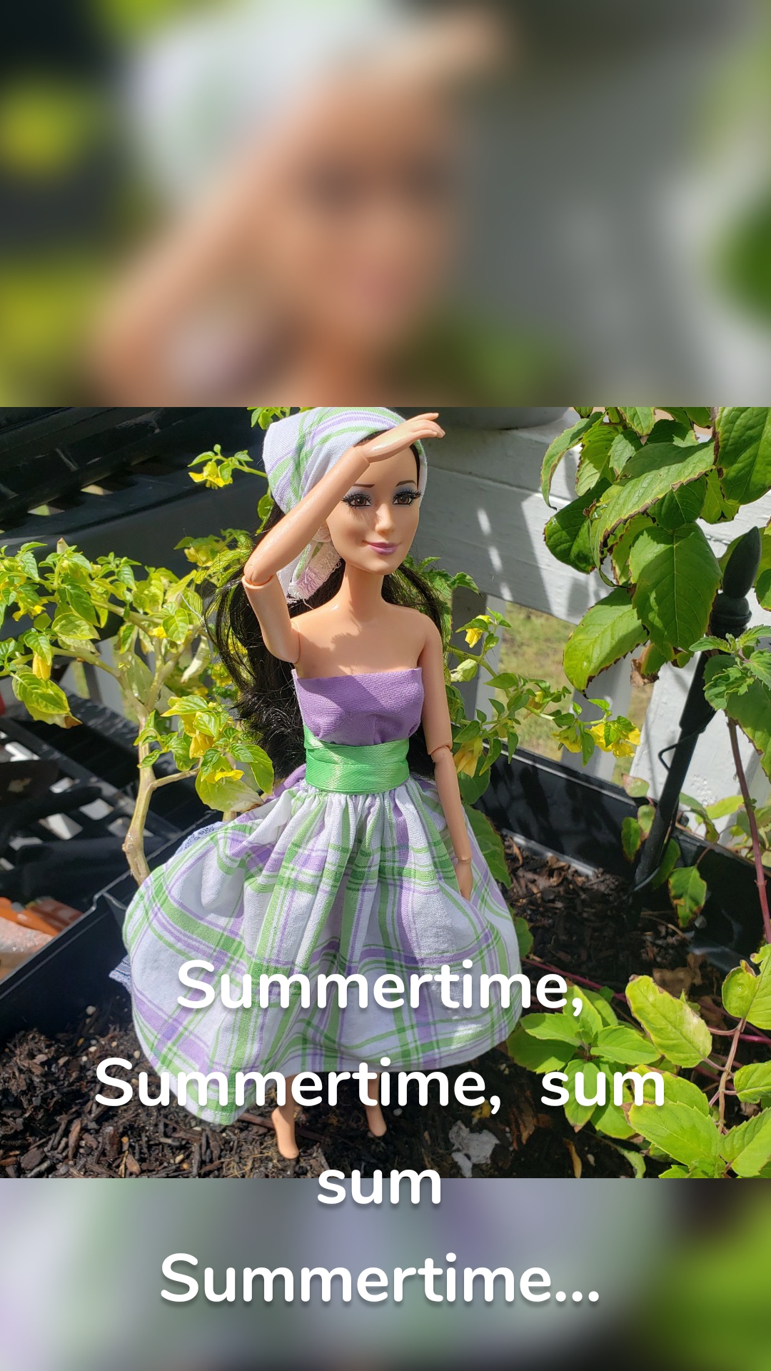 Summertime,  Summertime,  sum sum Summertime...